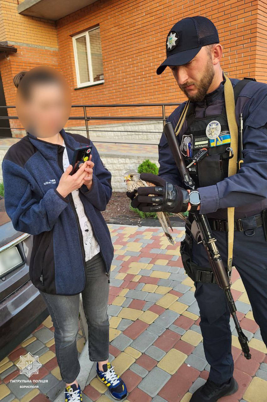 Ще один врятований птах бориспільськими патрульними | Патрульна поліція ...